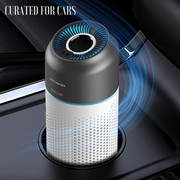 Portable Gesture Controlled Car Air Purifier