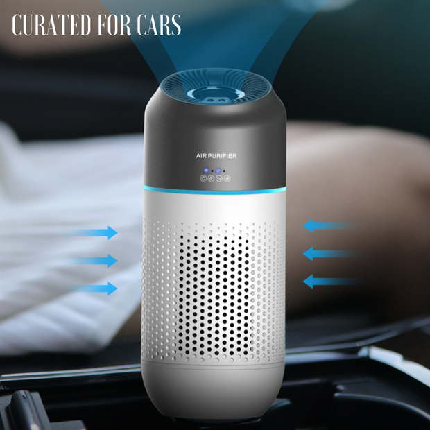 Portable Gesture Controlled Car Air Purifier